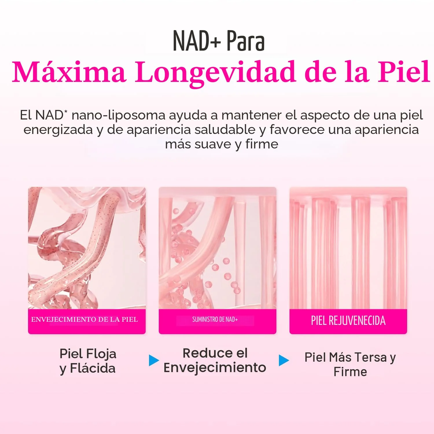 Imagen del producto 8